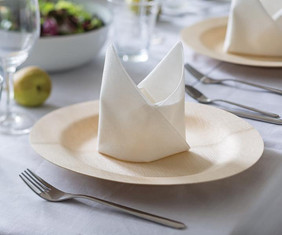 Bamboo White Napkins.jpg